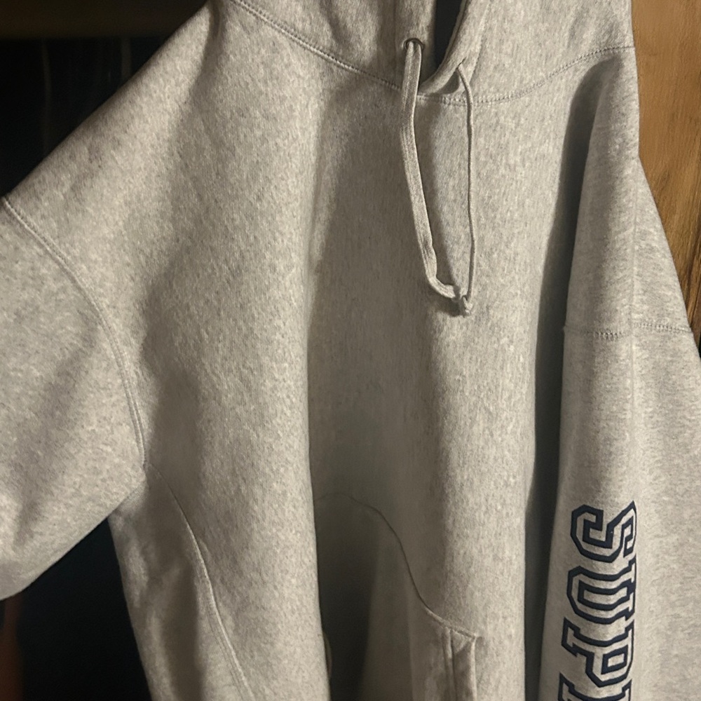 Supreme Collegiate Sleeve Hooded Sweatshirt 'Ash Grey'